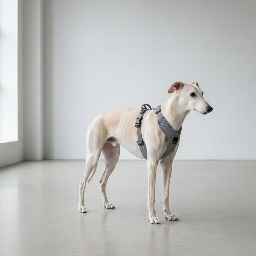 Reflective No-Pull Dog Harness Chest Strap