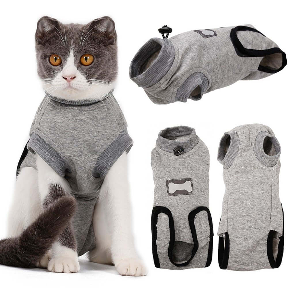 cat recovery suit after surgery on a grey cat, featuring anti-licking and anti-scratching design.