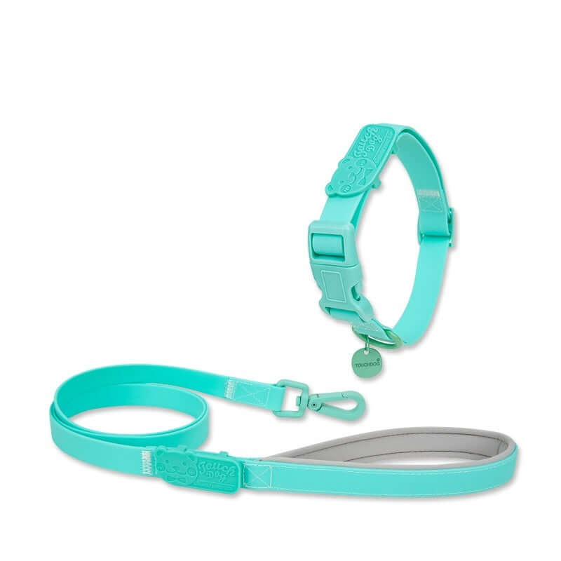 Jelly Color PVC Waterproof Pet Collar & Leash Set