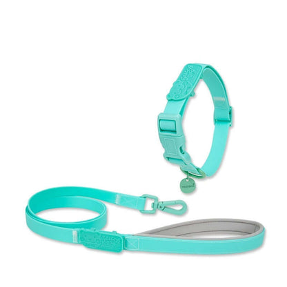 Jelly Color PVC Waterproof Pet Collar & Leash Set