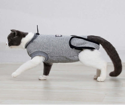 Cat recovery suit after surgery on a cat walking, designed for post-operative support and protection.