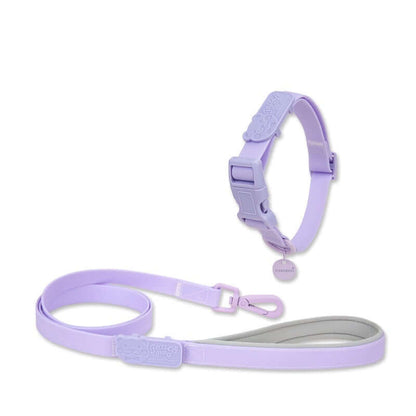 Jelly Color PVC Waterproof Pet Collar & Leash Set