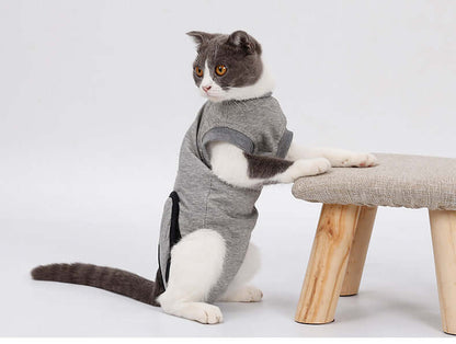 Cat wearing a comfort recovery suit, ideal for cat recovery suit after surgery, preventing licking and scratches.