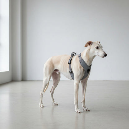 Reflective No-Pull Dog Harness Chest Strap