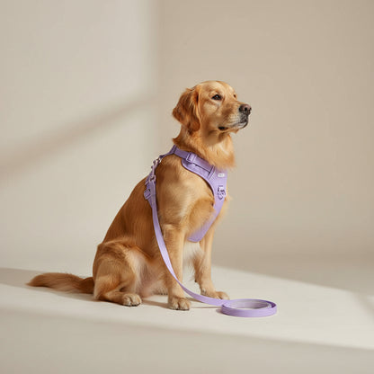 Jelly Color PVC Waterproof Pet Collar & Leash Set