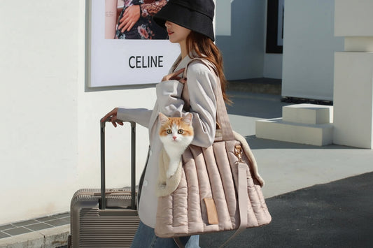 Cat Portable Breathable Nylon Shoulder Bag – Detachable Pet Carrier