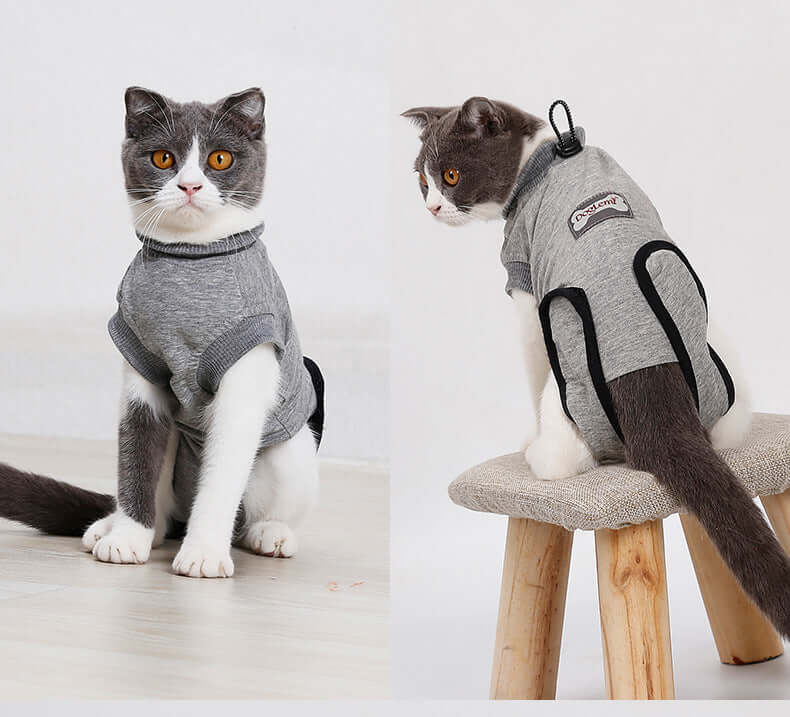Cat recovery suit after surgery, a stylish gray outfit designed for postoperative comfort and stability.