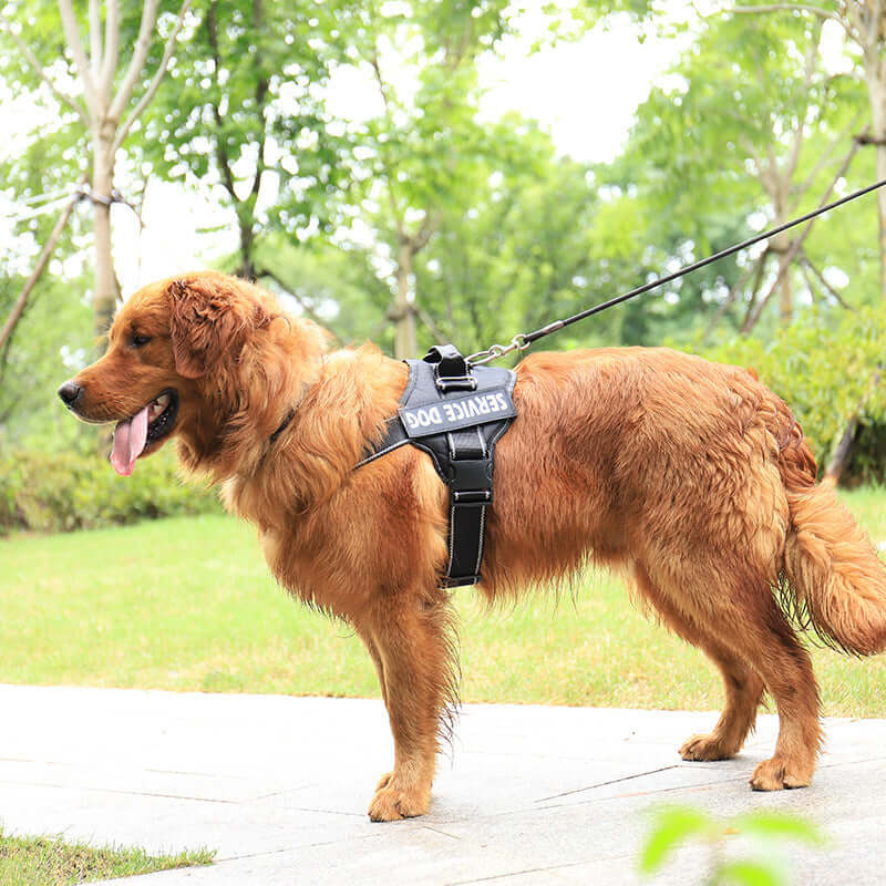 Reflective No-Pull Dog Harness – Padded Breathable Vest