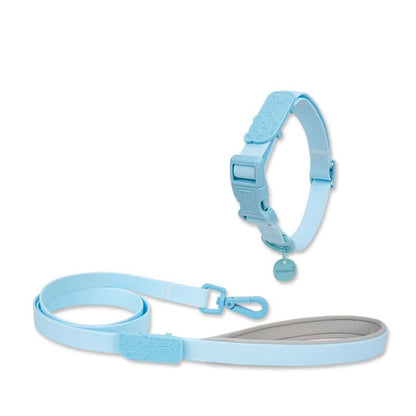 Jelly Color PVC Waterproof Pet Collar & Leash Set