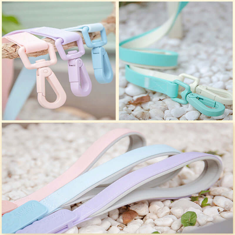 Jelly Color PVC Waterproof Pet Collar & Leash Set