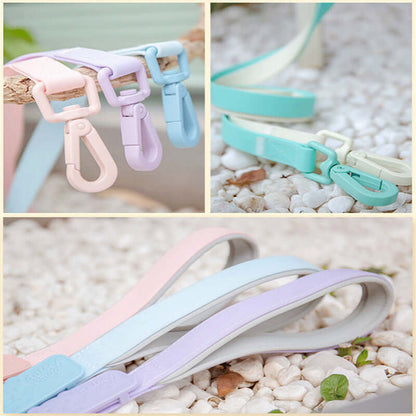 Jelly Color PVC Waterproof Pet Collar & Leash Set