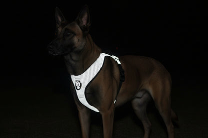 Reflective No-Pull Dog Harness Chest Strap