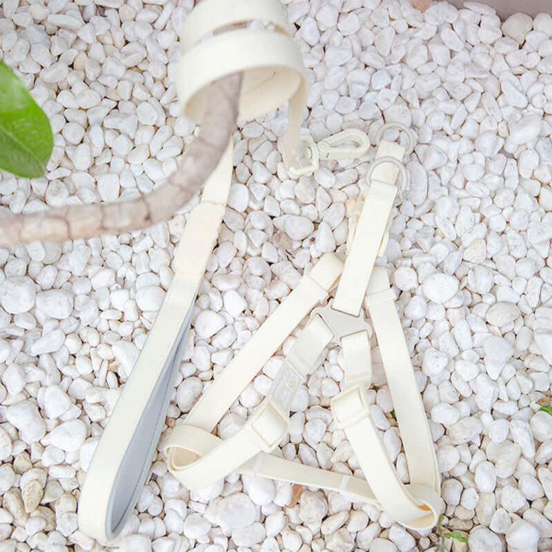 Jelly Color PVC Chest Back Collar Waterproof Pet Products