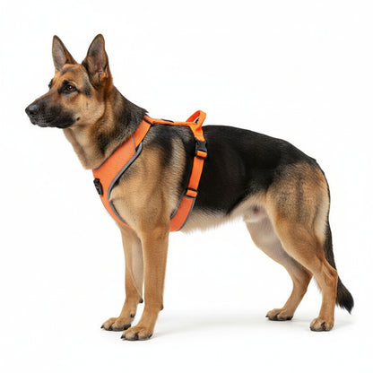 Reflective No-Pull Dog Harness Chest Strap